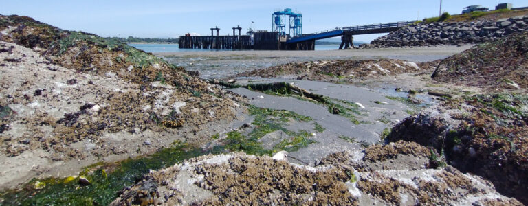 Ferry Tide-Related Weight Restrictions
